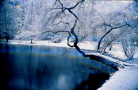 Pond Jobs - Winter