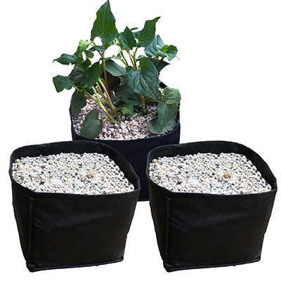Planting Bag Square - Small - Pack of 3