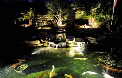 Pond Lighting: LED, Halogen and Solar Lights: Pondkeeper Blog