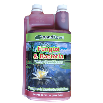 PondXpert Fungus & Bacteria 1000ml