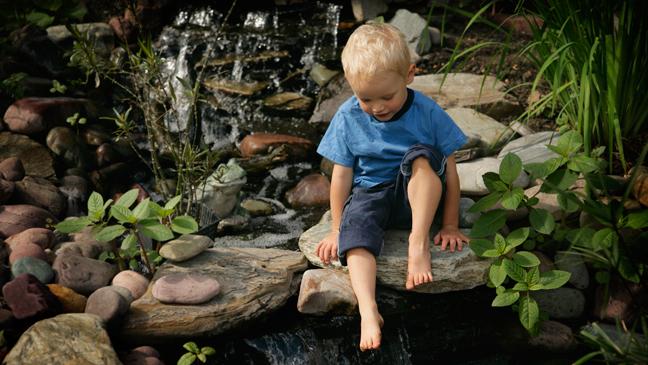 How To Make A Pond Safe For Children